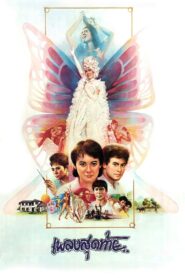 The Last Song 1985 one on netflix