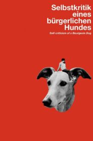 Self-Criticism of a Bourgeois Dog 2017 one on netflix