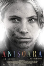 Anishoara 2016 one on netflix