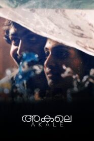Akale 2004 one on netflix