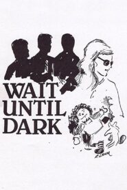 Wait Until Dark 1982 one on netflix