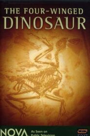 The Four-Winged Dinosaur 2008 one on netflix