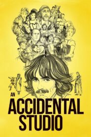 An Accidental Studio 2019 one on netflix