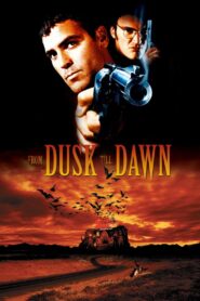 From Dusk Till Dawn 1996 one on netflix