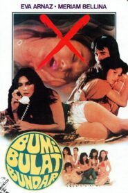 The Earth is Round 1983 one on netflix