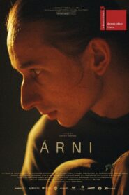 Árni 2024 one on netflix