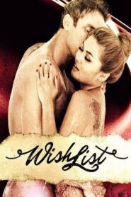 Sexual Wishlist 2014 one on netflix