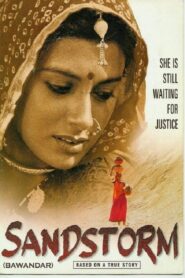 Bawandar 2000 one on netflix