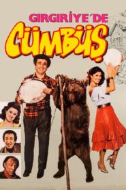 Gırgıriye’de Cümbüş 1983 one on netflix