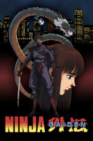 Ninja Gaiden 1991 one on netflix