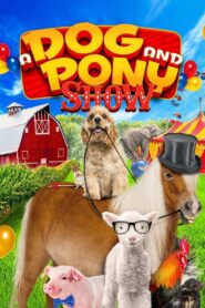 A Dog and Pony Show 2018 one on netflix