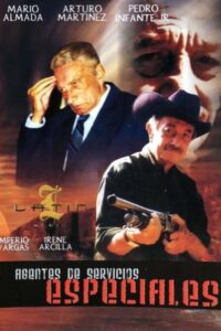 Agente de servicios especiales 1998 one on netflix