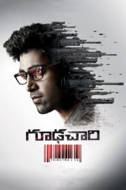 Goodachari 2018 one on netflix