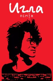 The Needle Remix 2010 one on netflix