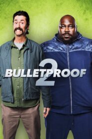 Bulletproof 2 2020 one on netflix