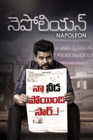 Napoleon 2017 one on netflix
