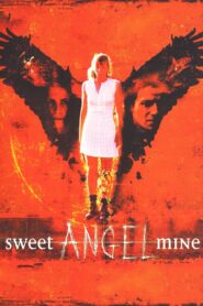 Sweet Angel Mine 1996 one on netflix