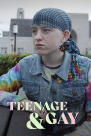 Teenage and Gay 2015 one on netflix