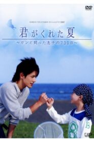 Kimi Ga Kureta Natsu 2007 one on netflix