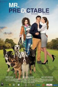 Mr. Predictable 2016 one on netflix