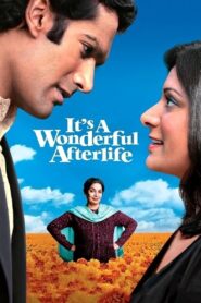 It’s a Wonderful Afterlife 2010 one on netflix