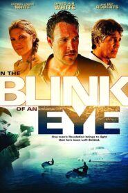 In the Blink of an Eye 2009 one on netflix