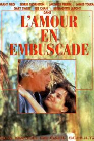 Love in Ambush 1997 one on netflix