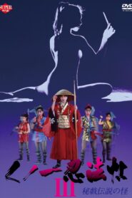 Female Ninjas Magic Chronicles 3: Sacred Book of Sexual Positions 1993 one on netflix
