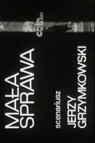 Mała sprawa 1980 one on netflix