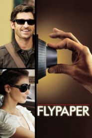 Flypaper 2011 one on netflix