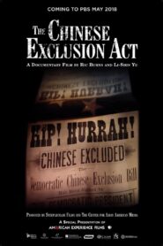 The Chinese Exclusion Act 2017 one on netflix