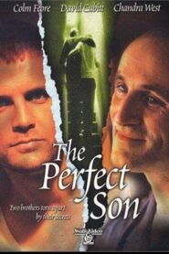 The Perfect Son 2000 one on netflix
