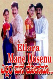 Ellara Mane Dosenu 2001 one on netflix