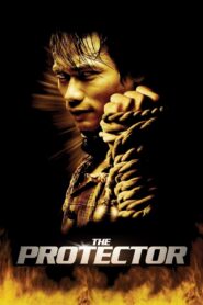 The Protector 2005 one on netflix