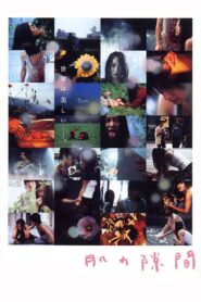 A Gap in the Skin 2005 one on netflix
