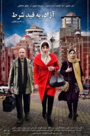 Conditional Release 2018 one on netflix