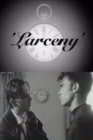 Larceny 1996 one on netflix