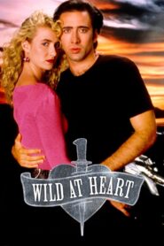 Wild at Heart 1990 one on netflix