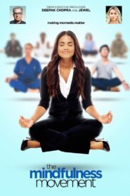 The Mindfulness Movement 2020 one on netflix