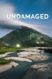 The Undamaged 2018 one on netflix