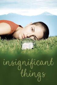 Insignificant Things 2008 one on netflix
