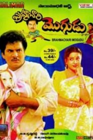 Brahmachari Mogudu 1994 one on netflix
