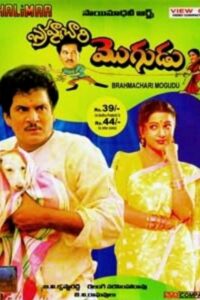 Brahmachari Mogudu 1994 one on netflix