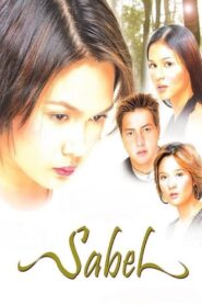 Sabel 2004 one on netflix