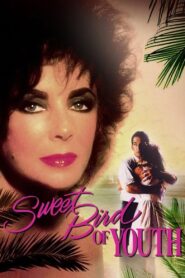 Sweet Bird of Youth 1989 one on netflix