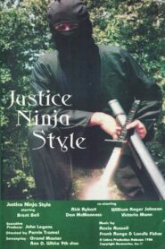 Justice Ninja Style 1985 one on netflix