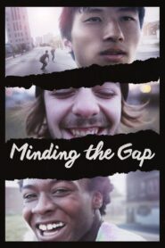 Minding the Gap 2018 one on netflix