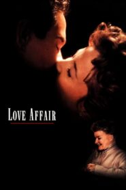 Love Affair 1994 one on netflix