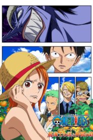 One Piece Episode of Nami: Tears of a Navigator and the Bonds of Friends 2012 one on netflix