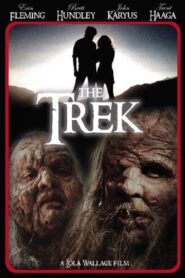 The Trek 2008 one on netflix